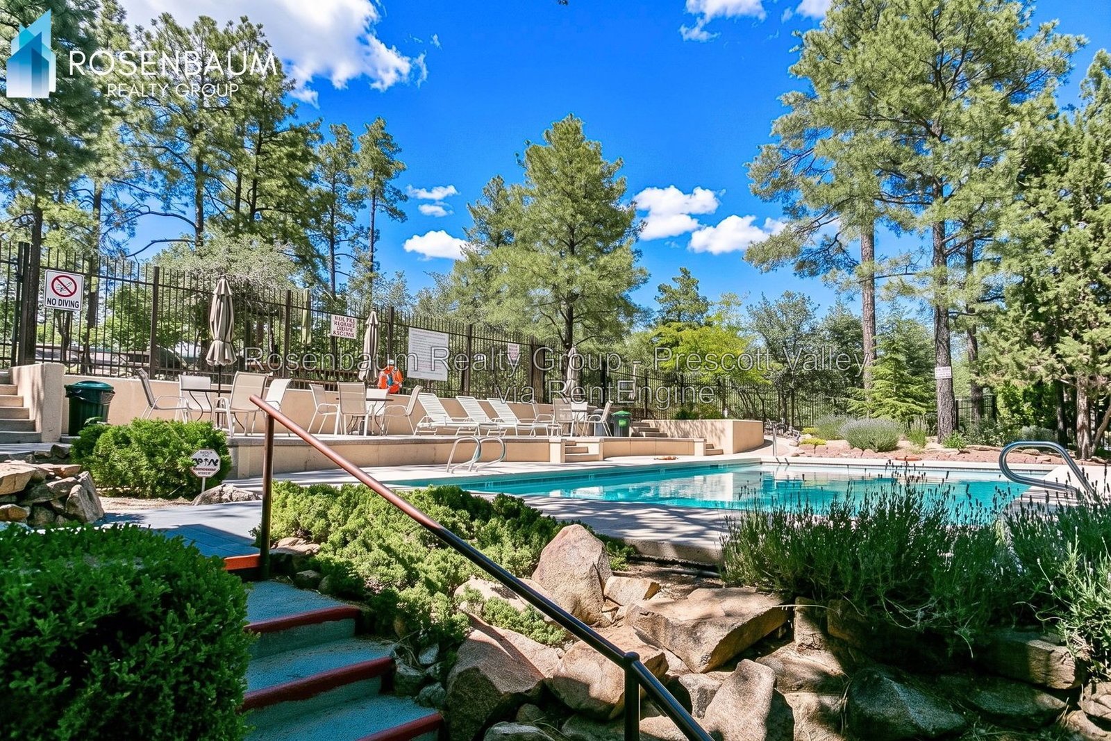 Charming 3-Beds, 2-Baths Single-Level Retreat Among the Pines! property image