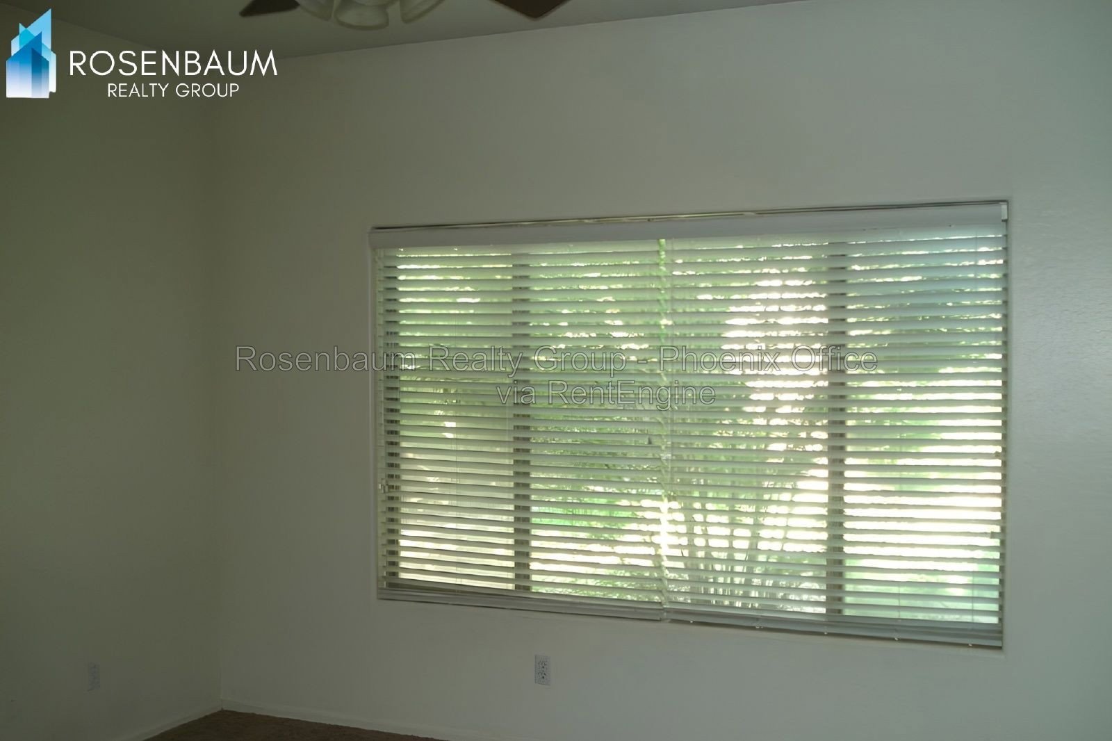 Spacious Single-Level Queen Creek Retreat with Block-Fenced Yard! property image