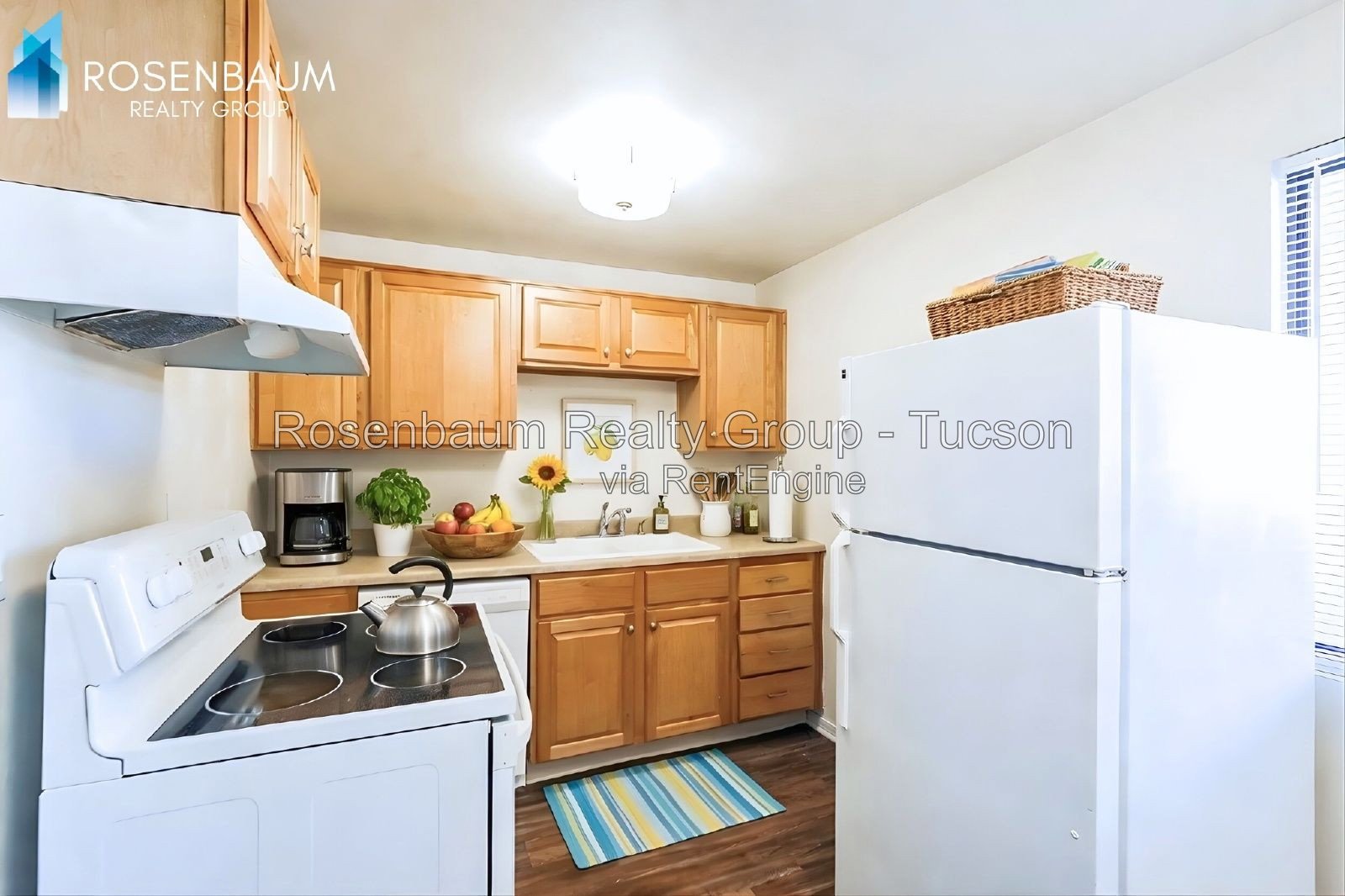 Charming 1-bed, 1-bath downstairs apartment in the heart of Tucson! property image