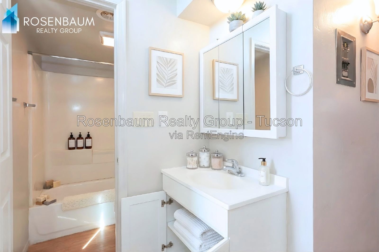 Charming 1-bed, 1-bath downstairs apartment in the heart of Tucson! property image
