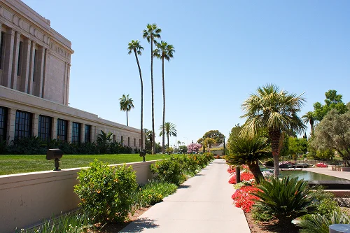 Apartments in Thatcher, AZ: What Renter Demand Tells Landlords About This Market